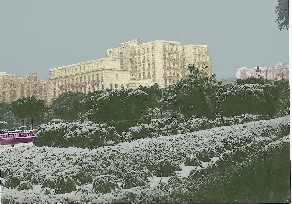Oran sous la neige 03.jpg